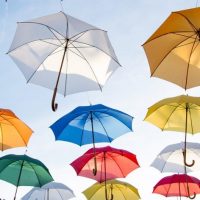 【玄関風水】玄関にぴったりな傘立ての選び方